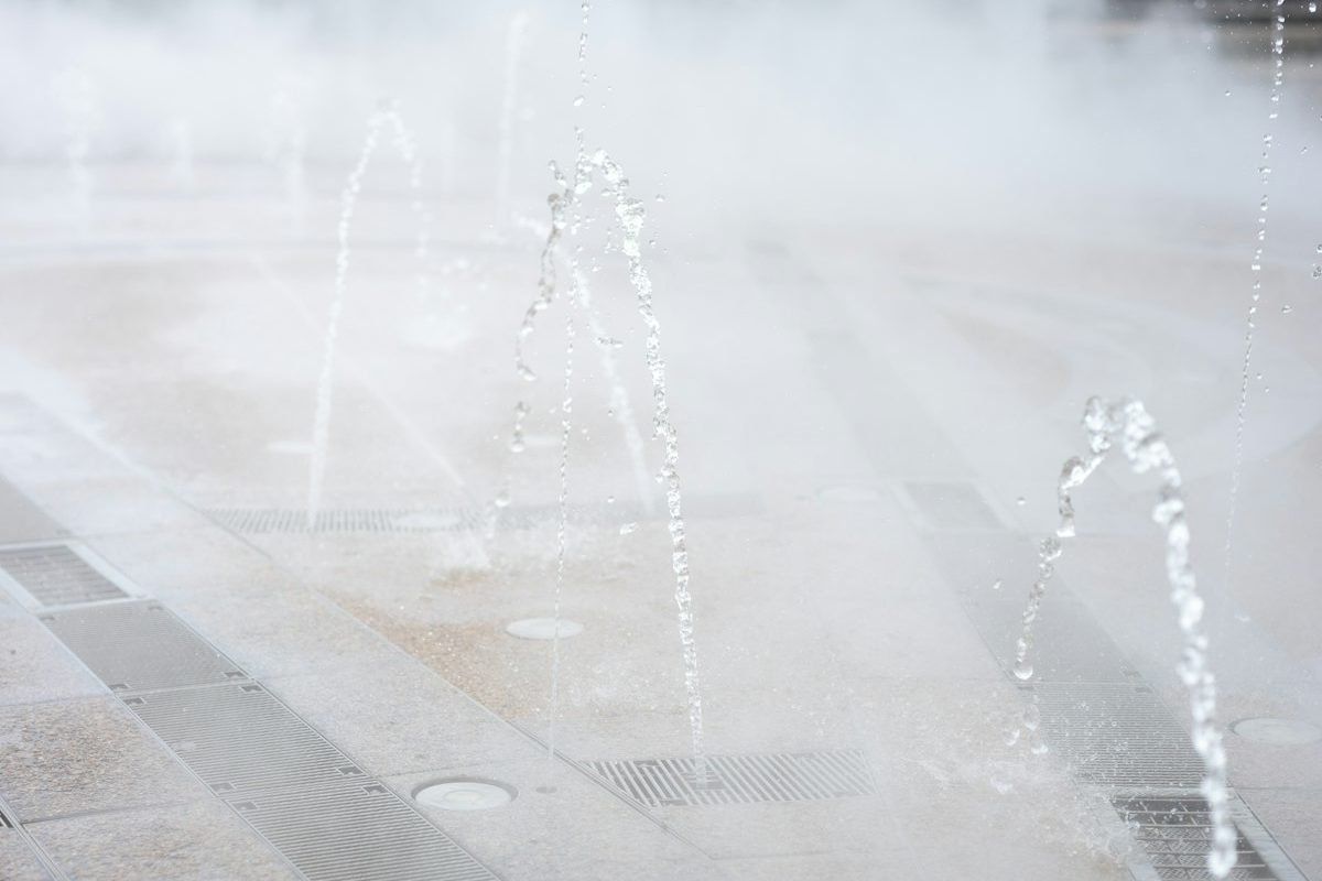 Why BPCA Membership Adds Measurable Value