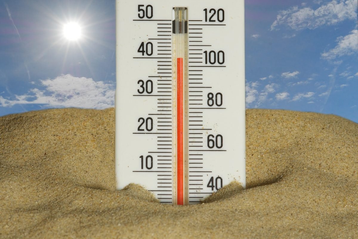 How Changing Weather Patterns Are Reshaping Pest Control Demand