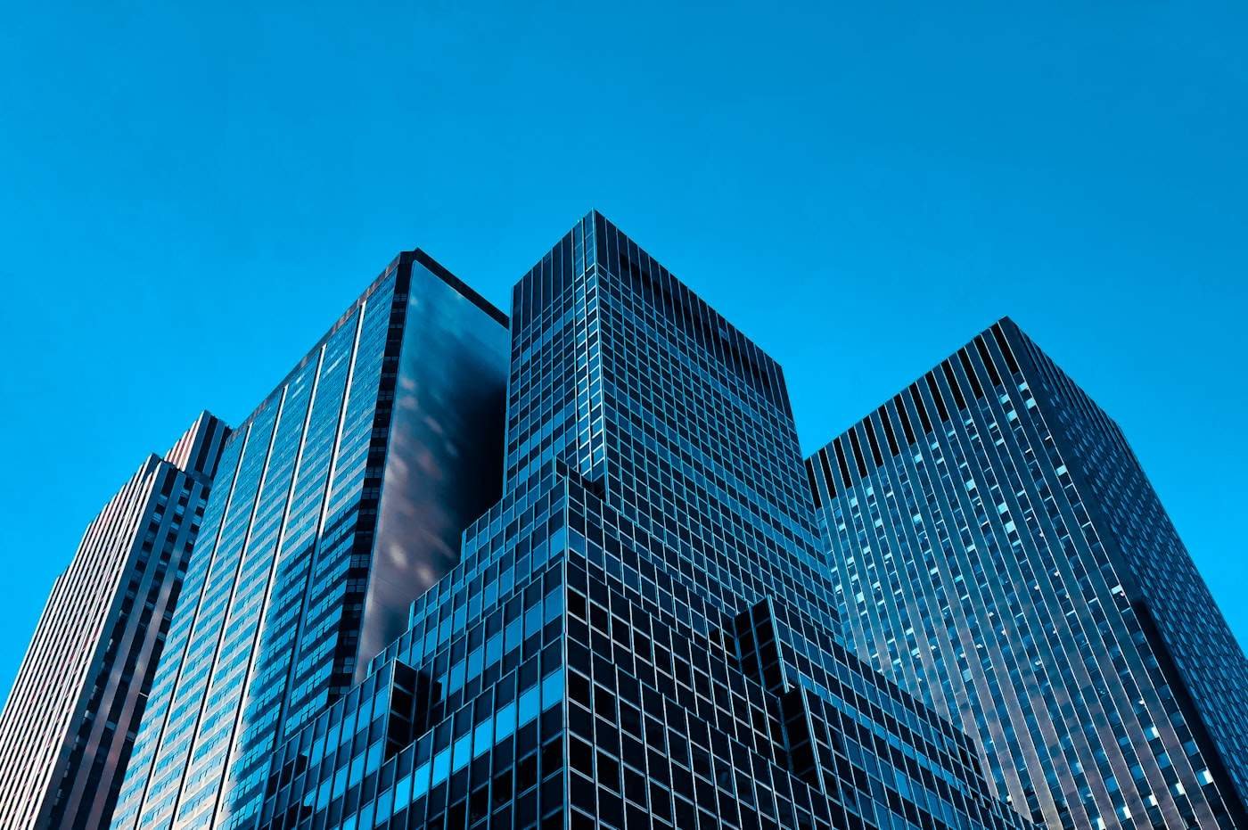 Owner Dependency: The Biggest Risk to Your Pest Control Business Valuation